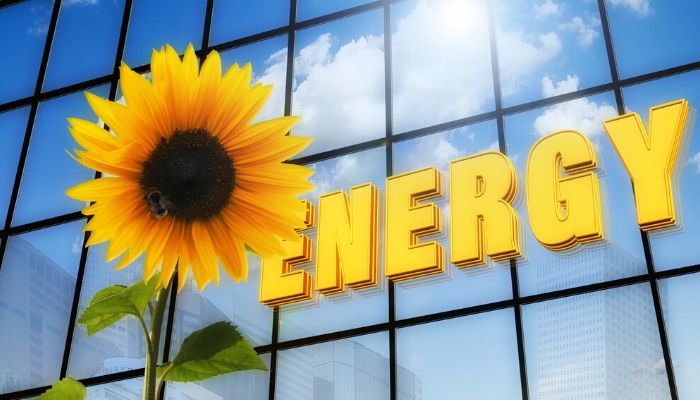 BAGAIMANA CARA PANEL SURYA BEKERJA?